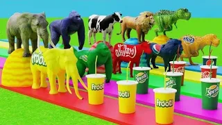 Choose Right Drink with Elephant Gorilla Cow Tiger Dinosaur buffalo Wild Animals Gameplay zombie