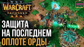 ЗАЩИТА НА ПОСЛЕДНЕМ ОПЛОТЕ ОРДЫ: Warcraft 3 Reforged