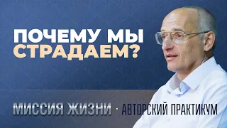 Почему мы страдаем? (Торсунов О. Г.)