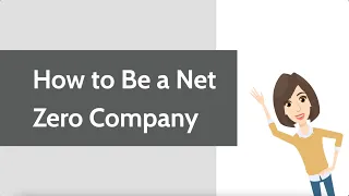 How to Be a Net Zero Company