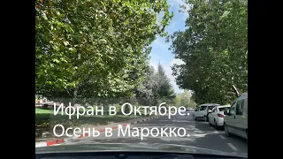 Поедем погуляем в Ифран. Осень в Марокко.