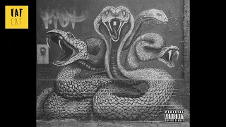 (free) 90s Old School Boom Bap type beat x Underground Freestyle Hip hop instrumental | Snakes