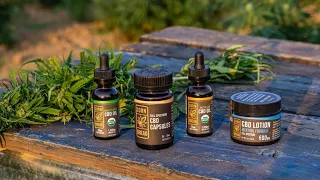 3 Tips for Picking the Best CBD Products