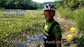 Pare Goes to Australia Cebu with 1 Thousands Water Lilies