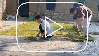 Three close friends work together to renovate a old house, weeding, cleaning, repairing the roof