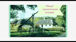 ''Миша'' - поучительная история - читает Светлана Гончарова