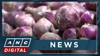 PH House Panel eyes possible charges in onion investigation | ANC