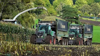 Mais 2019 : Vital Laschet / TB Agri / Claas Jaguar 960 / 8x Fendt / 4K / Maisernte