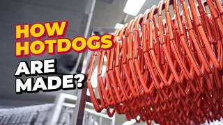 HOT-DOGS Production – INSIDE Hotdog Factory