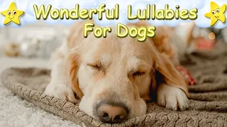 Relaxing Sleep Music For Your Dog And Puppy ♫ Calm Your Dog ♥ Lullaby For Pets