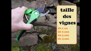 taille des vignes, de 1 an, de 2 ans, 3 ans et 4 ans.