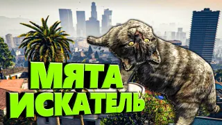 БАРСИК В ПОИСКАХ МЯТЫ в GTA 5🐅 ЗАМУРЧАТЕЛЬНЫЙ КОТ на Majestic RP