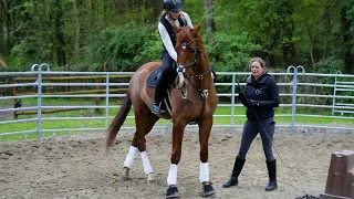 Das erste Mal frei reiten – Anreiten im Roundpen | Junge Pferde ausbilden