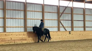 Intro Level Working Equitation Dressage Test