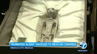 'Mummified aliens' unveiled to Mexico Congress