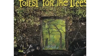 Forest for the Trees - The Sound of Wet Paint EP - (4) Primordial Soup
