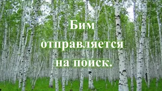 Гавриил Троепольский "Белый Бим Черное ухо"