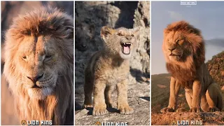 Lion king Bgm🦁Lion King Movie🦁Lion King🦁Tamil whatsapp status