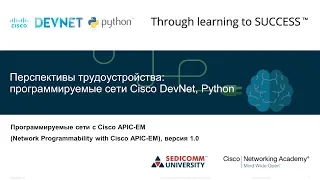 Перспективы трудоустройства: программируемые сети Cisco DevNet, Python