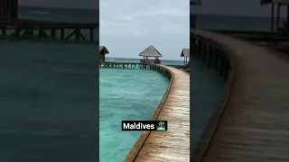 Maldives| Fihalhohi Island| Water Villa #shorts #ytshorts #maldives #island #watervilla #trending