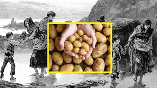 History of Potatoes in the European Diet