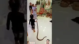 Omg😱 This child playing with snake 🐍 #shorts #snake #viral #cobra #snakes