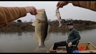 Big Swimbaits for BIG Bass!! (Insane day of fishing Pt 2.)