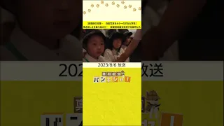 【原爆前の日常…　白黒写真をカラー化する大学生】怖さ悲しさを乗り越えて…　原爆資料館を見学する園児たち