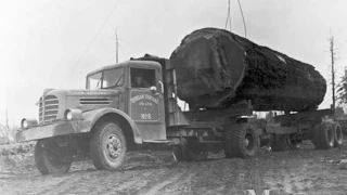 Logging History of Campbell River Area