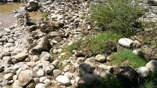 Petit coin secret de baignade et pêche près de Chazey sur Ain