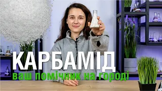 Карбамід - ваш помічник на городі ✅