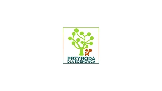 Raniuszek zwyczajny - Przyroda dla Sosnowca