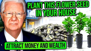 Just Plant This Seed, The Universe Will Return All Your Wasted Money