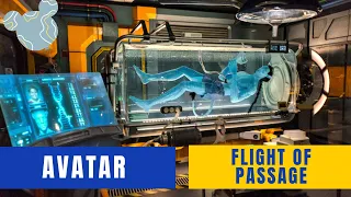 Avatar Flight of Passage | FULL Ride POV Walt Disney World | Animal Kingdom 2023