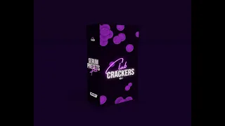 Club Crackers Vol 1 (House, EDM, Club Serum Presets)