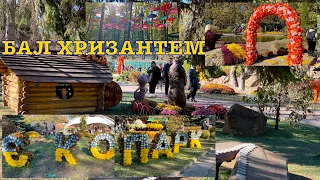 Бал Хризантем. Єкопарк Фельдман. Харків