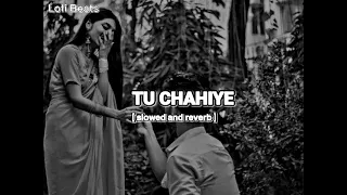 TU CHAHIYE || LOFI SONG ✨ SLOWED AND REVERB #VIRAL #LOFI#BOLLYWOOD #LOFISONG