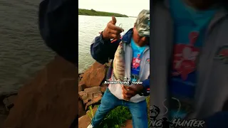 Fish Fishing //Catching Fish //Bait Fishing //Fisher Hunting #fisher #tilapia   #fishing #shorts