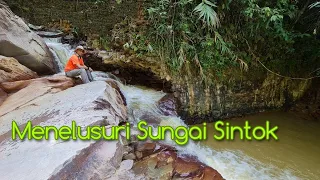 Sungai Sintok: Menyanggah Aliran, Menyaksi Alam.