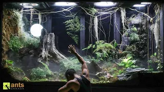 Beloved Animals Died in My Giant Rainforest Vivarium