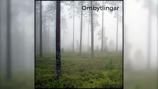 Ombytlingar -  Lennart Östman