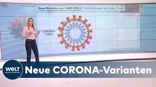 WELT HINTERGRUND: N501Y-Variante - Wie gefährlich sind die Mutationen des Coronavirus?