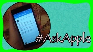 #AskApple//Детская Академия Останкино//Ksyushka Apple