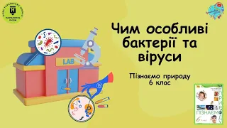 Чим особливі бактерії та віруси