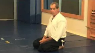 Moonsensei:  Aikido and the Art of Awareness