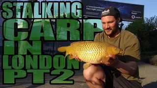 STALKING CARP IN LONDON (ILLEGAL FISHING!!!!)