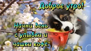 Доброе Утро!🌹💐 Мирного Неба Над Головой! Красивая Музыкальная Видео Открытка С Добрым Утром!