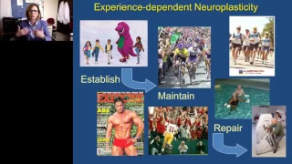 Giselle Petzinger - Exercise Targeting Neuroplasticity in Parkinson's disease