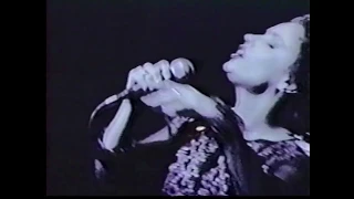 Baby Animals - Live at The Palais St Kilda, Melbourne - 1992