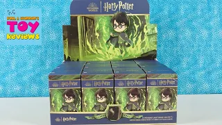 Harry Potter Chamber Of Secrets Pop Mart Blind Box Figure Unboxing | PSToyReviews